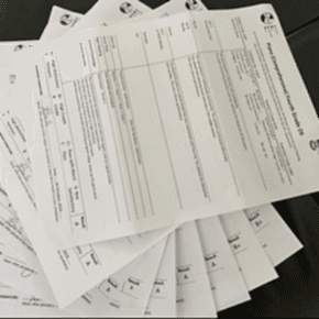 Milana Music - AMEB Results (A)